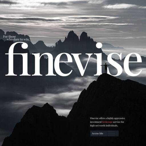 finevise.com