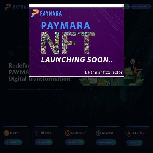 paymara.com